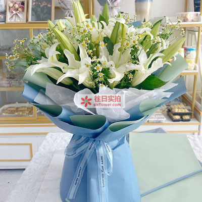 临汾8支白色多头百合洋甘菊，互倾的思念