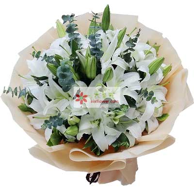 临汾9支白色多头百合，祝福你幸福